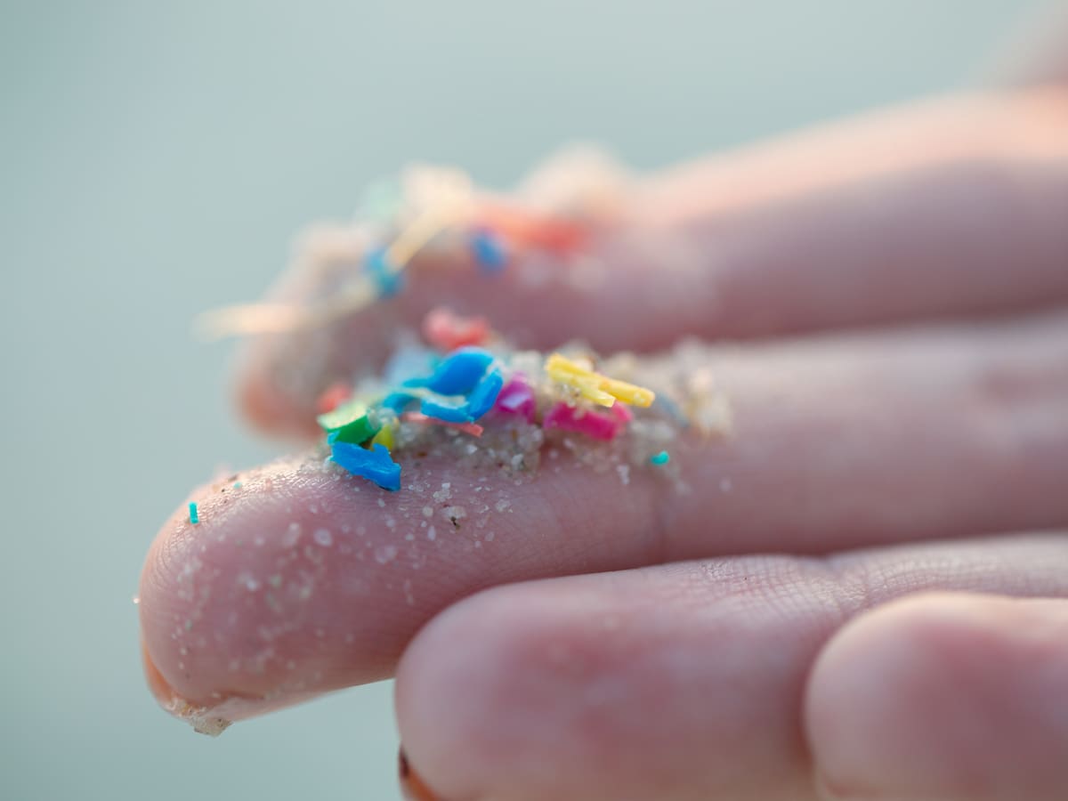 Microplásticos: ¿está el contaminante más abundante esparciendo una enfermedad infecciosa?