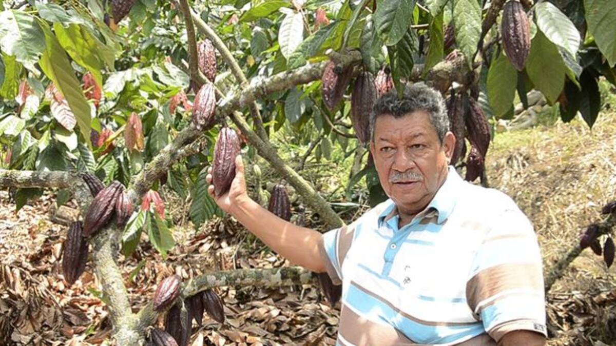 “El Banco Agrario es nuestra mano derecha”