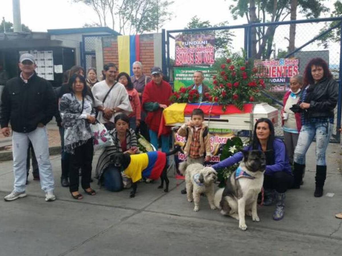 Protestas en Zoonosis por presunto maltrato y falta de suministros para animales