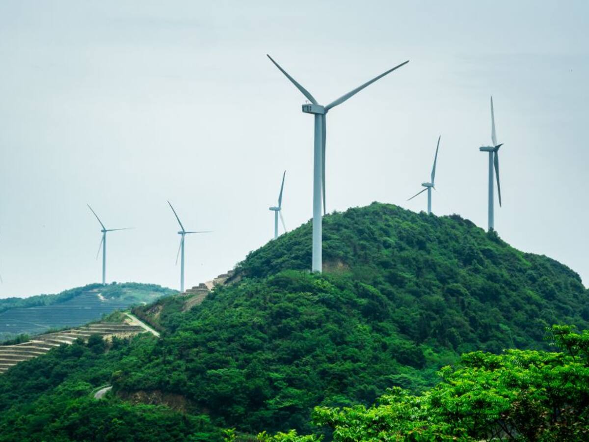 Cuál es la realidad de los mercados de carbono en Colombia