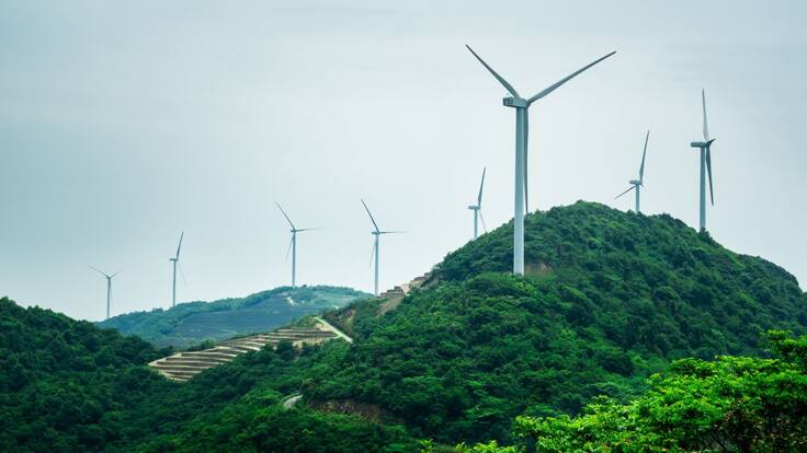 Cuál es la realidad de los mercados de carbono en Colombia