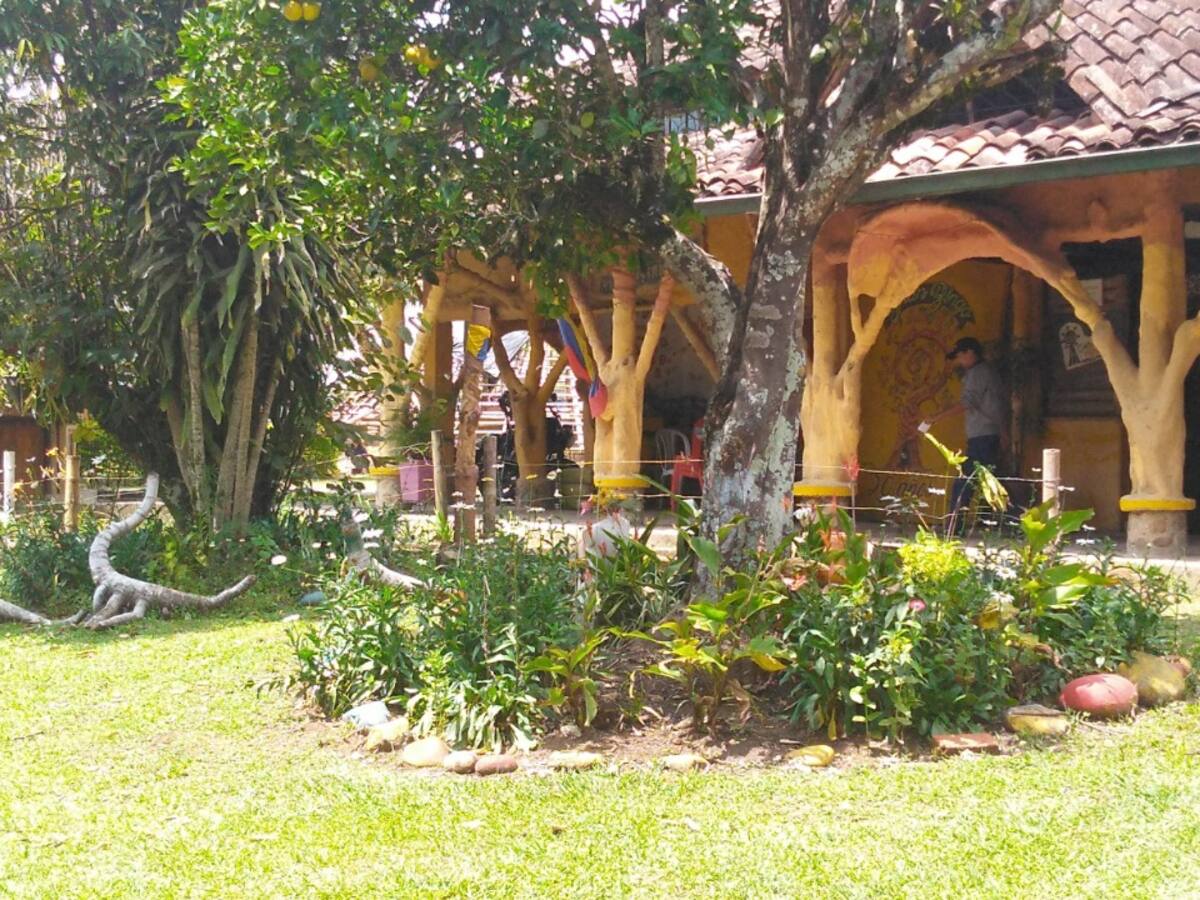 Denuncian que doble calzada afectará una reserva natural en Cauca