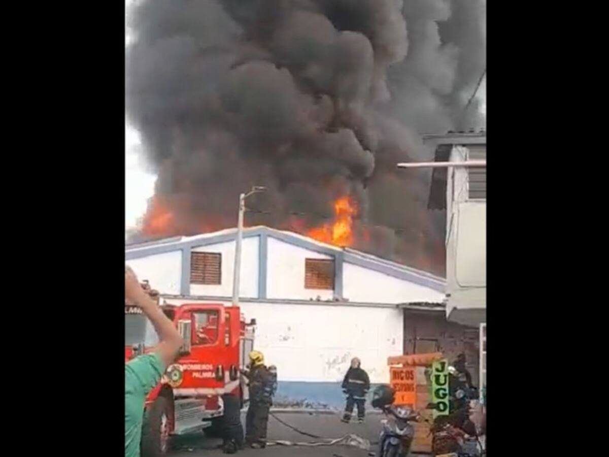 Pérdida total de colchonería en Palmira