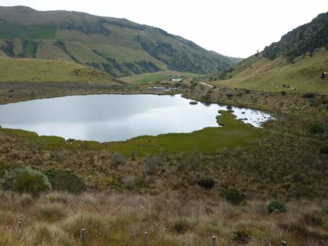 La agricultura y ganadería amenazan los humedales de Caldas