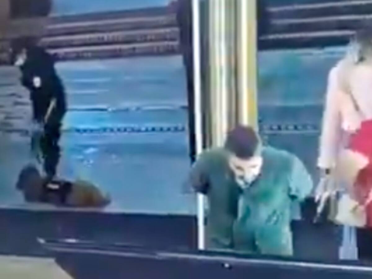 Video: Indignante caso de maltrato animal en el Centro Comercial Andino