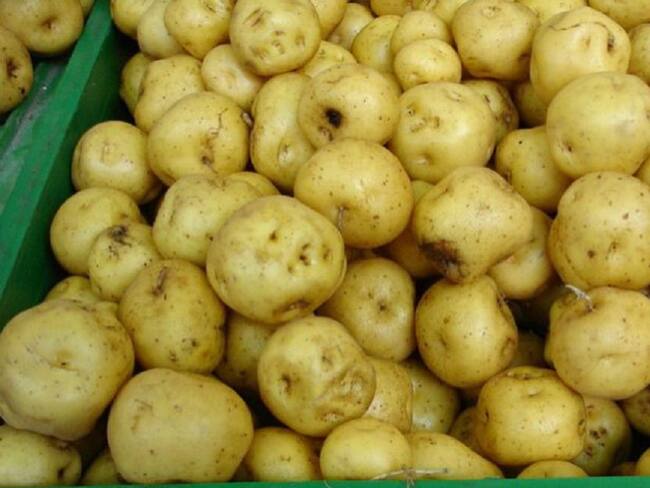 Otra vez la papa criolla y el fríjol verde suben de precios