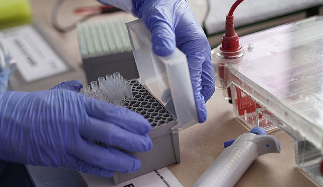 Las vacunas que hoy están disponibles en el Valle y el país cubren este tipo de virus.