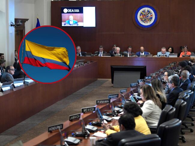 La Misión de Apoyo al Proceso de Paz en Colombia de la Organización de los Estados Americanos alerta por la actual situación de seguridad en Quibdó.