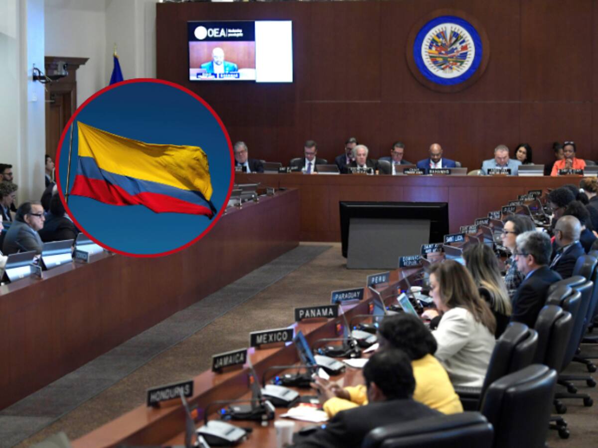 OEA pide a Colombia establecer diálogos con todos los grupos armados del país