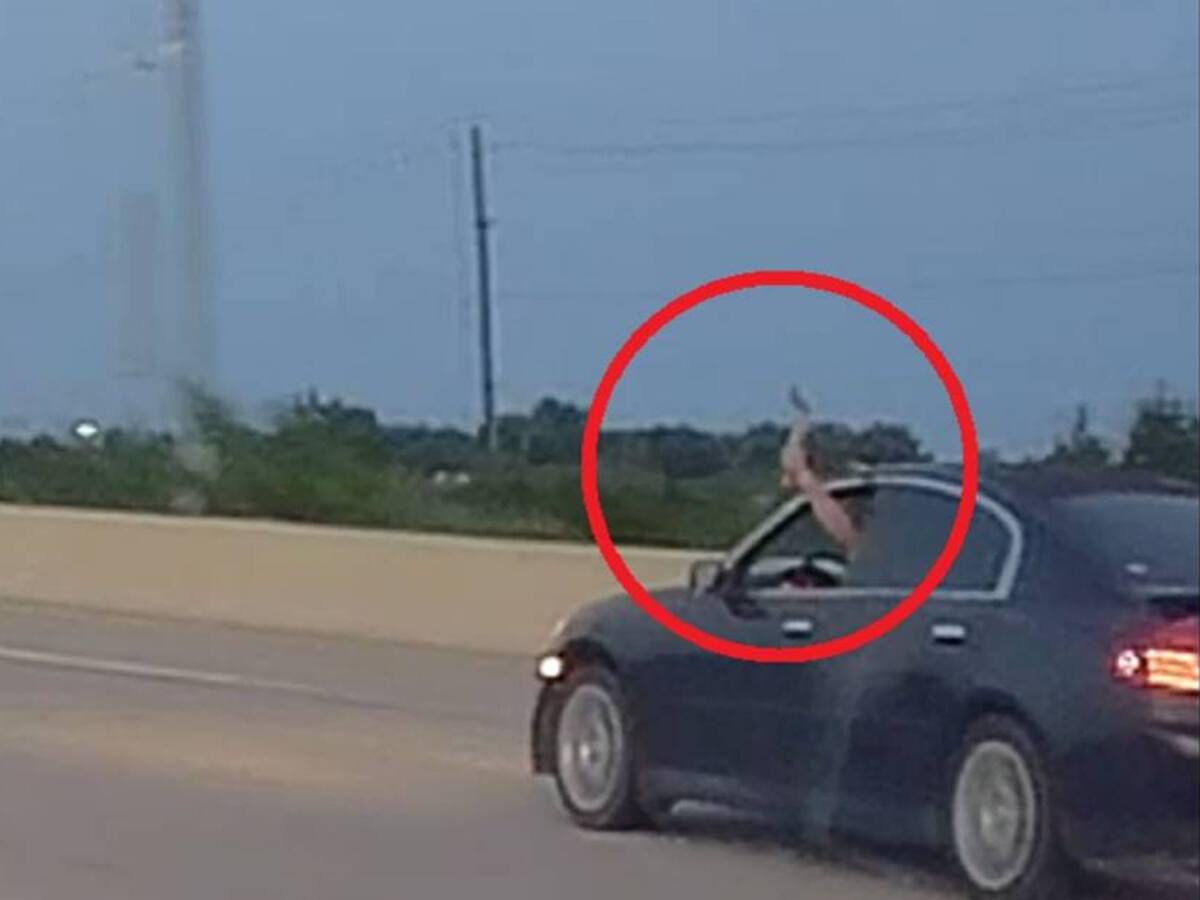Karma: conductor sacó hacha para amedrentar a un chofer y se estrelló