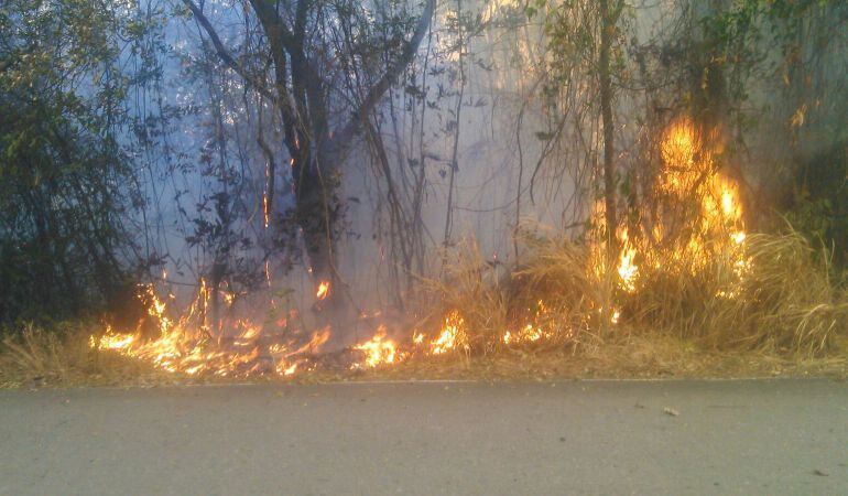 Incendios forestales en el Tolima