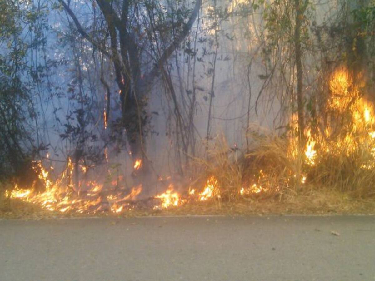 Declaran alerta roja en el Tolima por incendios forestales