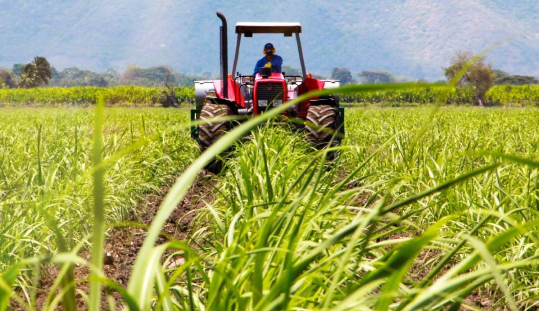 Imagen de referencia