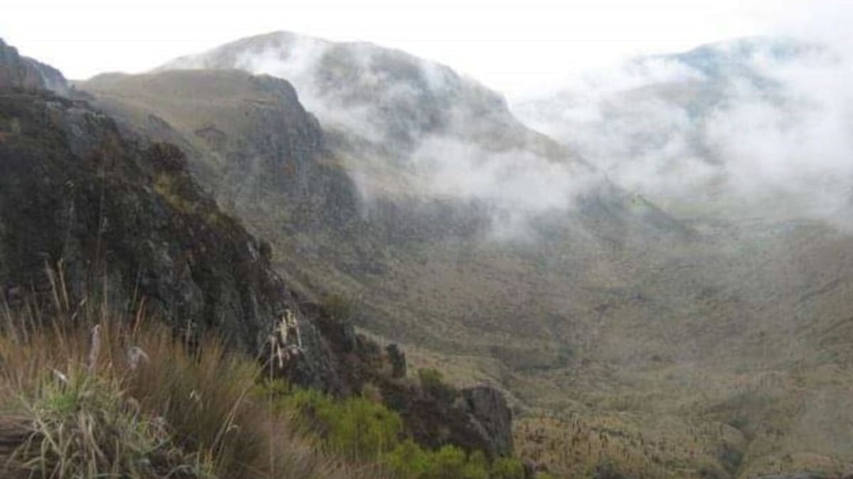 Alerta en el Parque Los Nevados por pérdida del 90 % de su glaciar