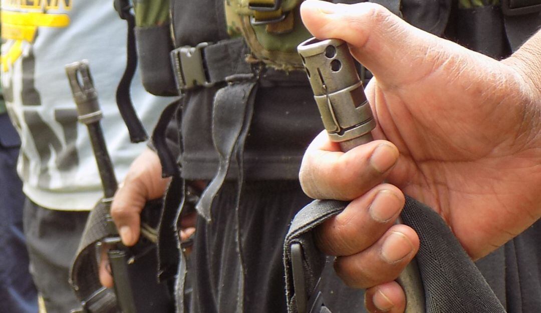 Imagen de referencia