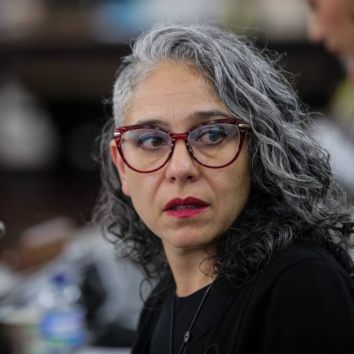 Hasta ahora hay 9 víctimas de acoso y abuso sexual en el Congreso: María José Pizarro