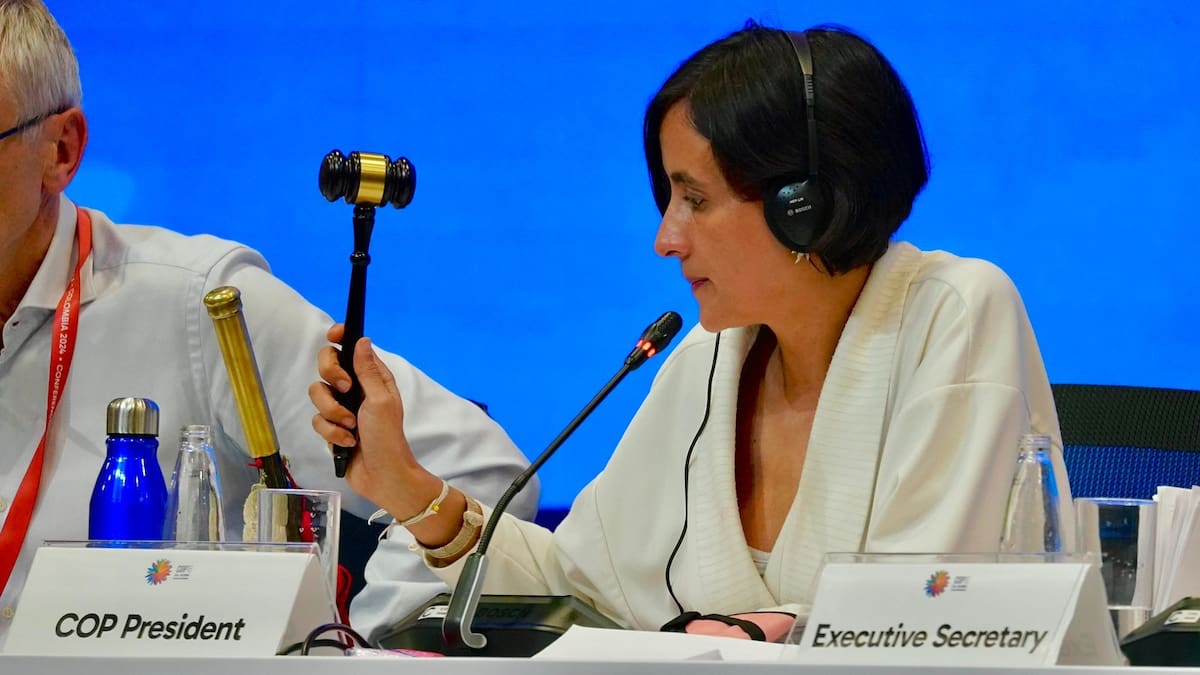 Finaliza COP16 en Cali: logros y consensos históricos se dieron en las plenarias