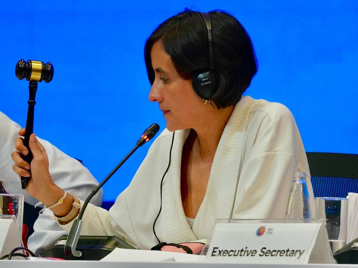 Finaliza COP16 en Cali: logros y consensos históricos se dieron en las plenarias