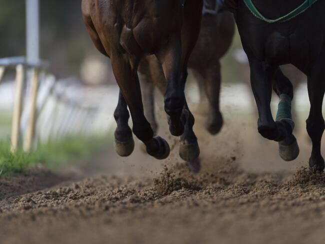 En una “carrera de caballos” de 21 años, Colombia gana en América Latina