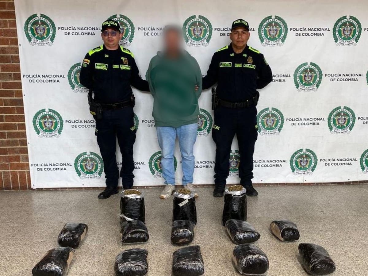 Descubren una casa que producía marihuana en Bogotá: despachaba 45 kilogramos al mes