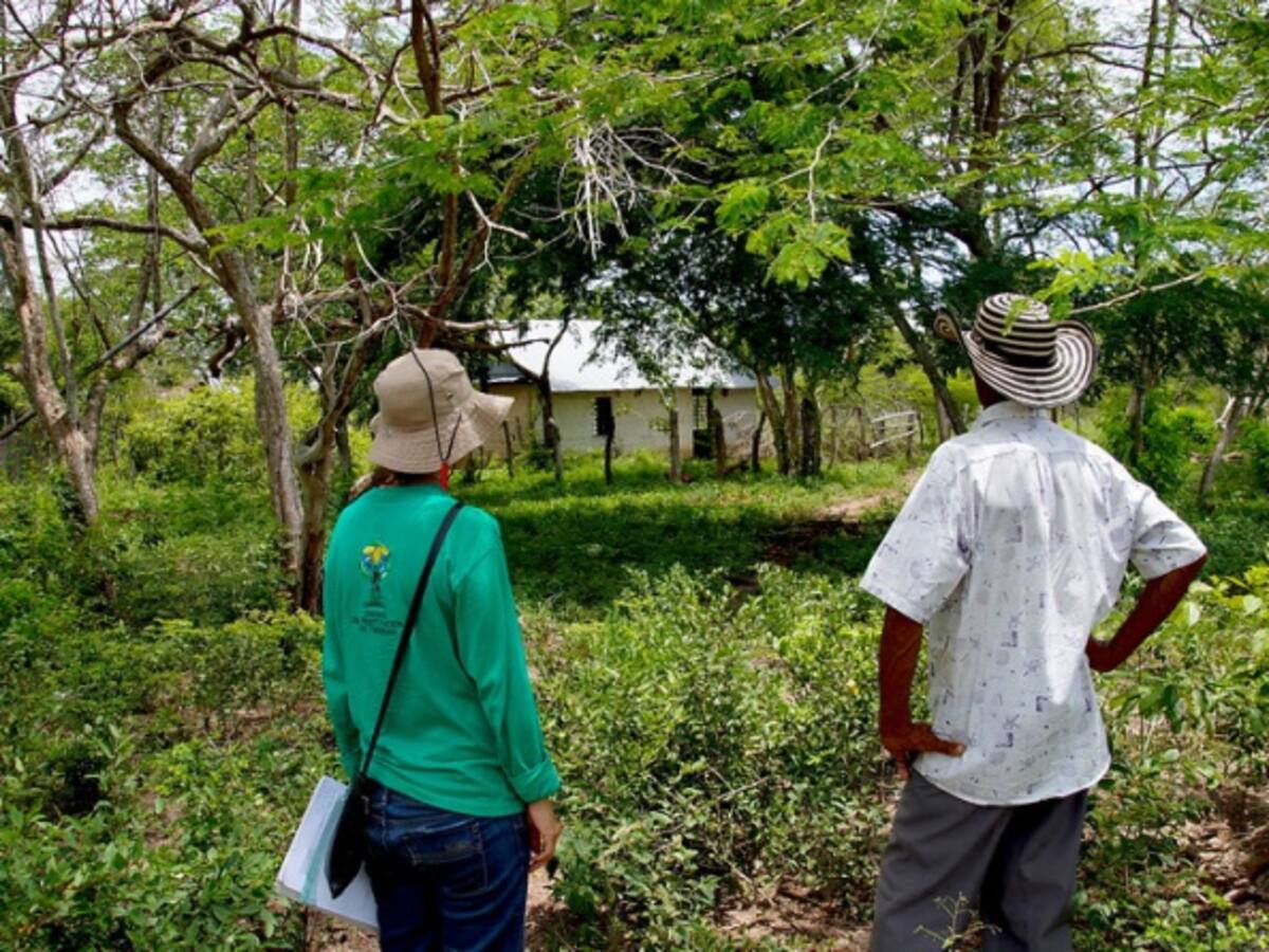 Existen más de 15.000 procesos de restitución de tierras fallados en el país
