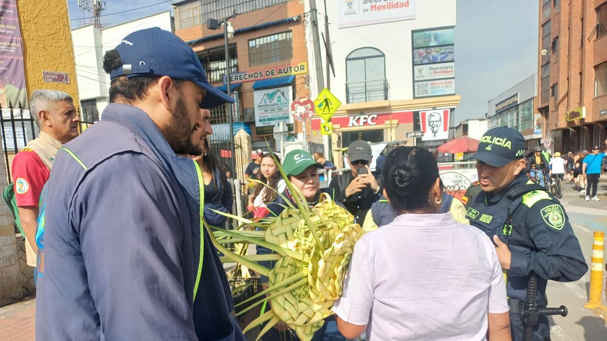 Disminuye el tráfico de fauna y flora en Semana Santa: incautaciones caen por tercer año consecutivo