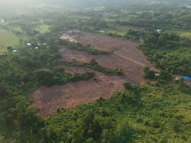 Terreno previsto para la Zona de Ubicación Temporal en Córdoba