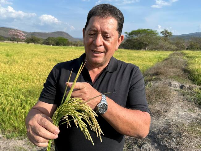 AME9709. BOGOTÁ (COLOMBIA), 15/04/2025.- Fotografía del 25 de marzo del productor y asesor de la Asociación Hondureña de Agricultores y coordinador de la representación de los arroceros de todo el país en la Comisión Nacional del Arroz, Fredy Torres, hablando durante una entrevista con EFE en una plantación de arroz en el municipio de Jesús de Otoro (Honduras). Los productores hondureños de arroz exigen al Gobierno que preside Xiomara Castro políticas claras en apoyo al sector agrícola nacional, para no retirarse de una actividad que se ha visto reducida drásticamente en los últimos diez años. EFE/Germán Reyes ARCHIVO
