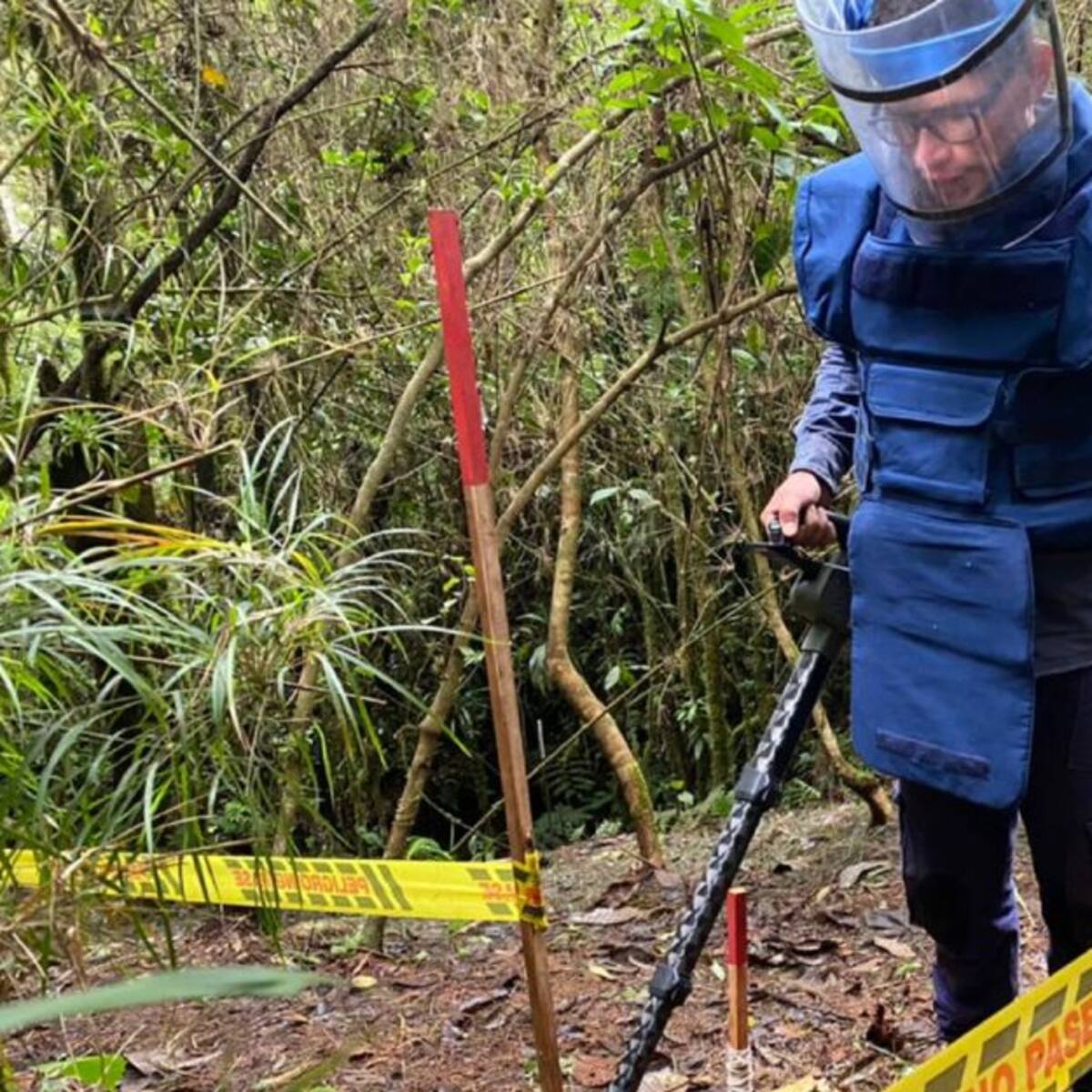Entregan 24.662 m2 libres de sospecha de minas antipersonal en Samaná