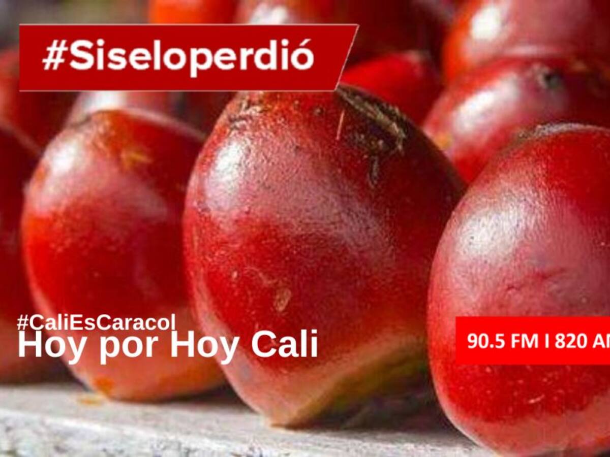 Cali Hoy por Hoy 28 de julio del 2020