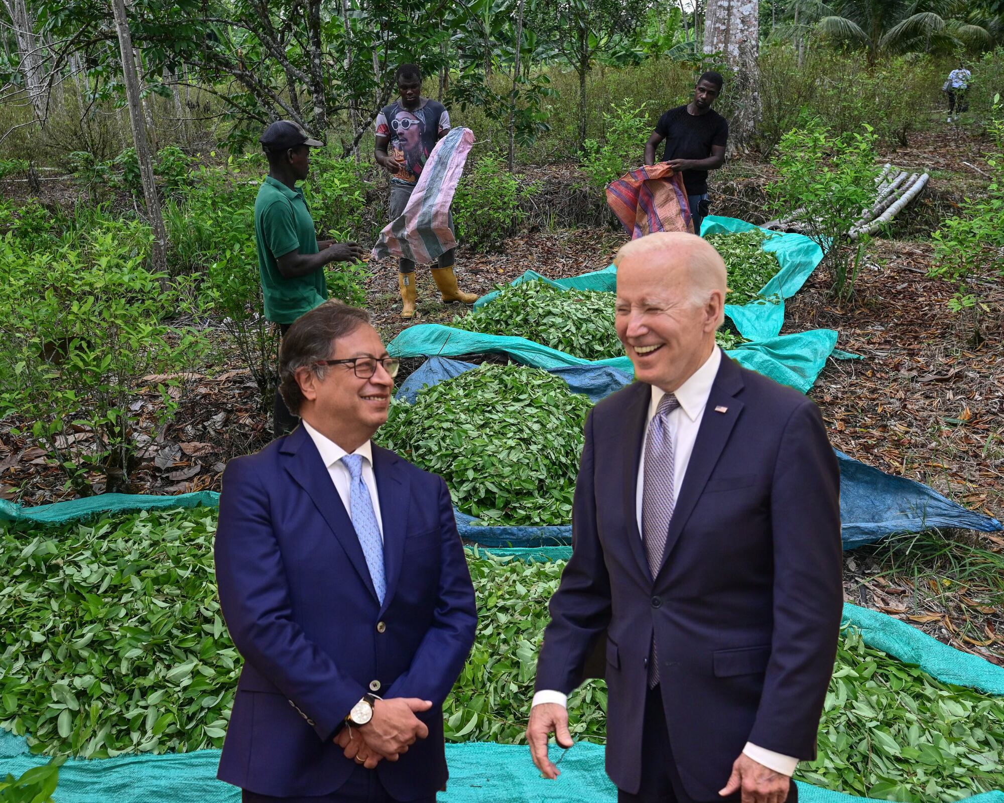 El presidente Joe Biden envió un memorando a los secretarios de Estado y de Defensa con el que ordena mantener la asistencia al gobierno de Gustavo Petro en la lucha contra el narcotráfico.
(Foto: Getty / Caracol Radio )