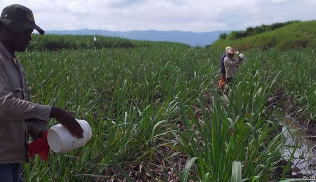 Riopaila Castilla le solicitó a las autoridades que investiguen de manera inmediata lo sucedido y puedan dar con los responsables del asesinato.