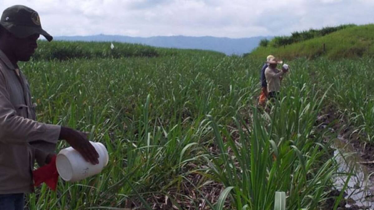 Protección a líderes sociales del Valle del Cauca pidió Riopaila Castilla