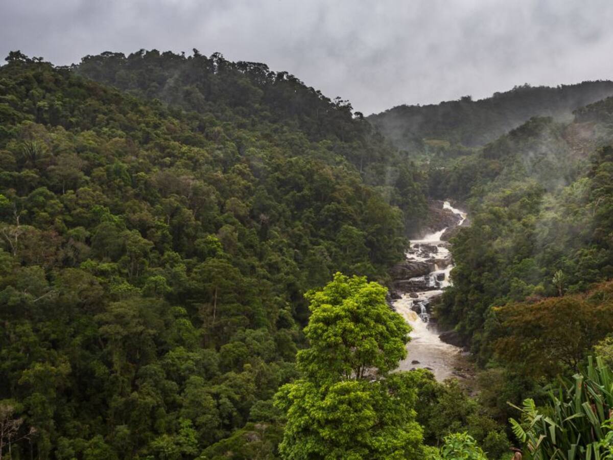 Cómo revertir la pérdida de la biodiversidad en el planeta