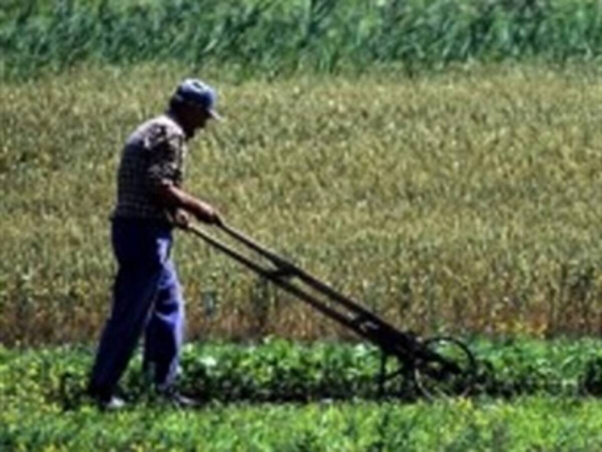 Gobierno define lugares donde van a operar oficinas de la Unidad de Restitución de Tierras