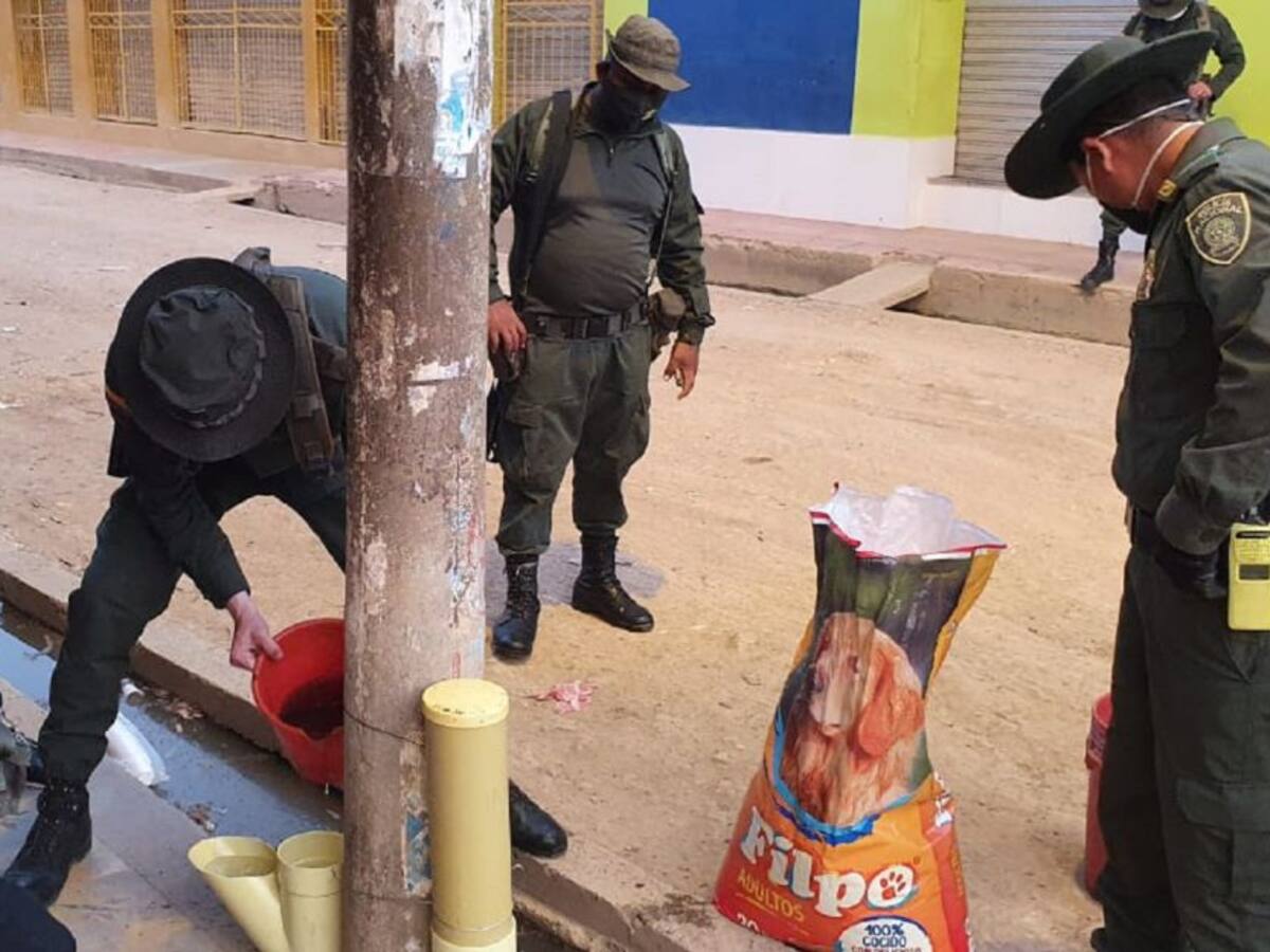 Policía brinda alimento a perros y gatos abandonados en Bolívar