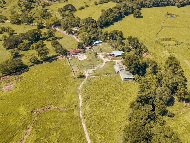 Los predios suman cerca de 3.000 hectáreas distribuidas en 32 unidades; habían sido utilizados durante décadas por redes del narcotráfico y estructuras paramilitares.