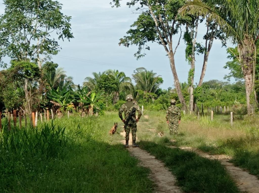 Imagen de referencia de Arauca. Cortesía.