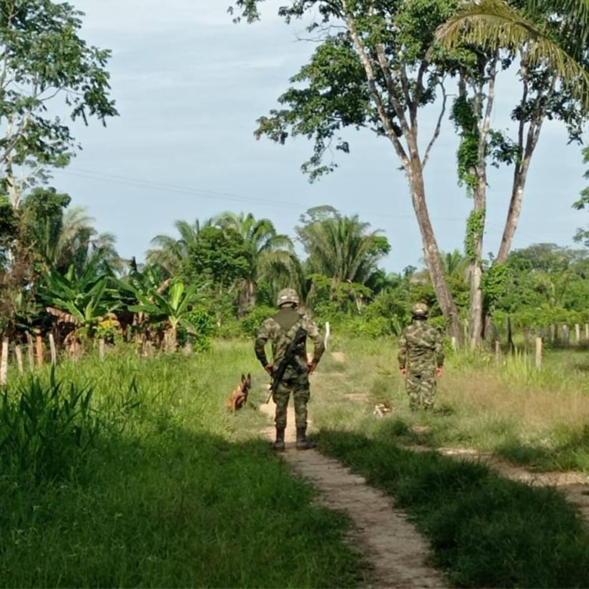 Gobernador de Arauca exigió ayuda al presidente Petro para frenar ola de violencia