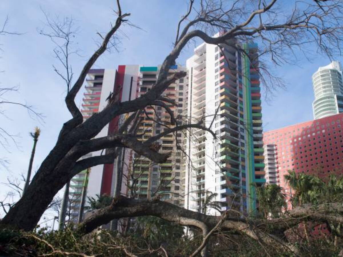 Fenómenos climáticos serán cada vez más intensos: Jhon Morales