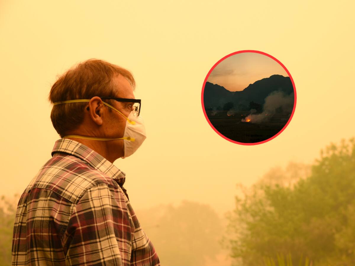 No solo el tapabocas: estos son todos los cuidados durante los incendios forestales