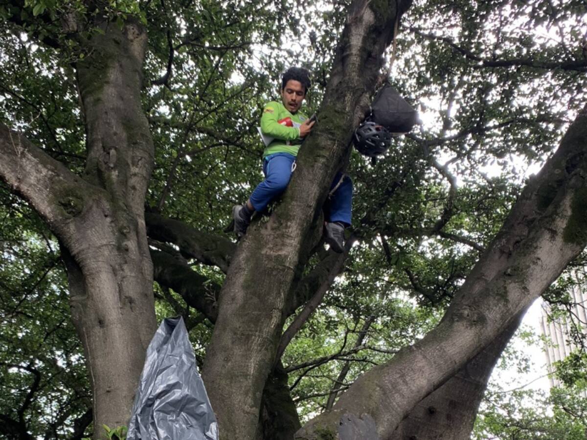 Trepado en árbol hombre rechaza licencia para minería en Santurbán