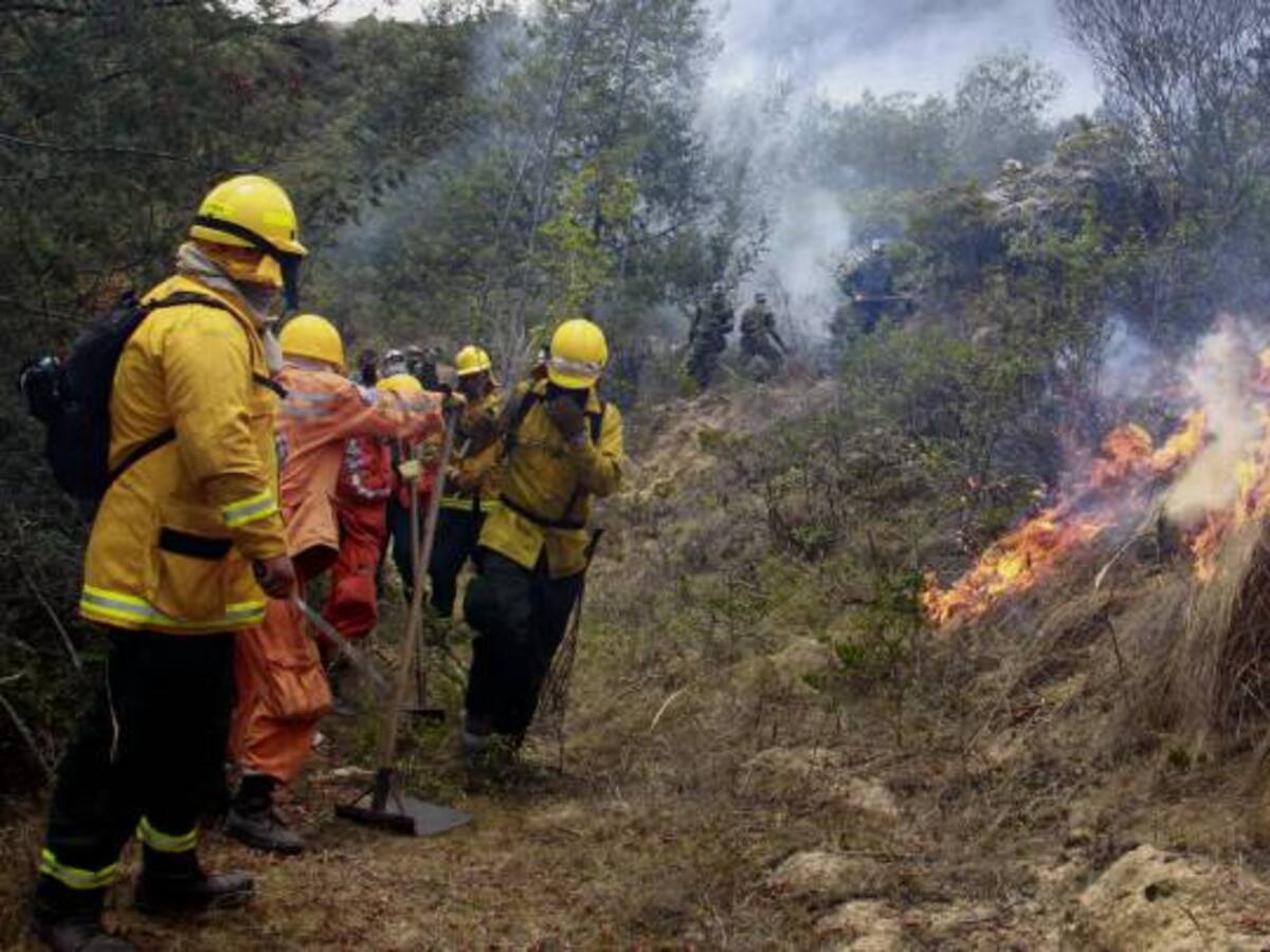 Incendio forestal consume bosque natural en Norte de Santander