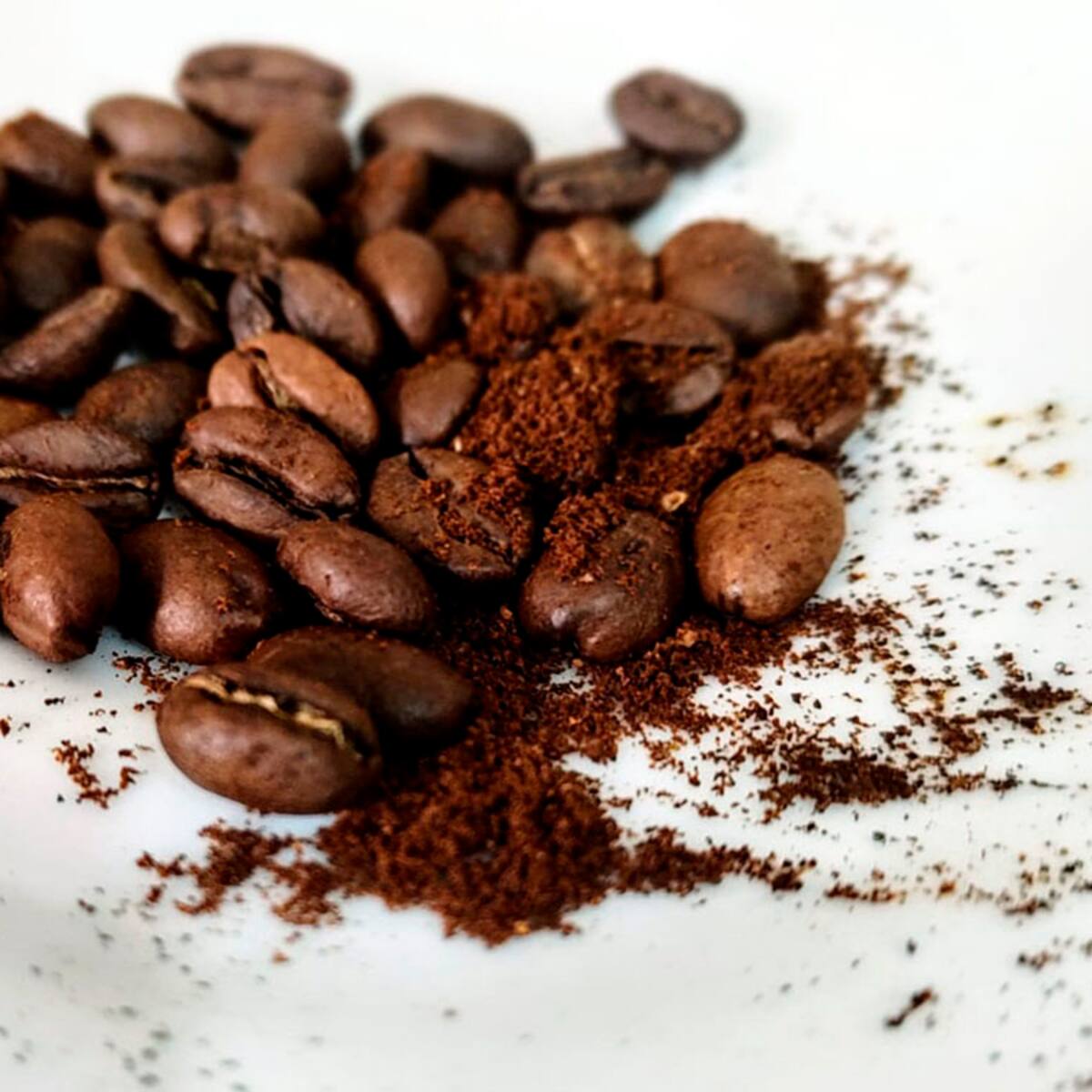El café socorrano que se vende en Italia y Estados Unidos
