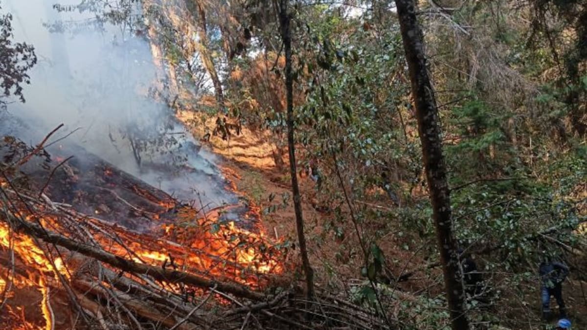 Bomberos de Bucaramanga refuerzan atención del incendio en Charta: seis municipios siguen en alerta