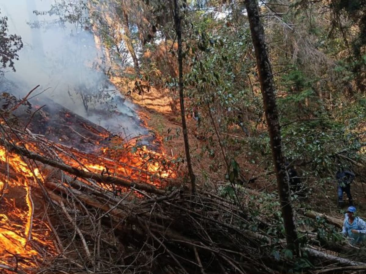Bomberos de Bucaramanga refuerzan atención del incendio en Charta: seis municipios siguen en alerta