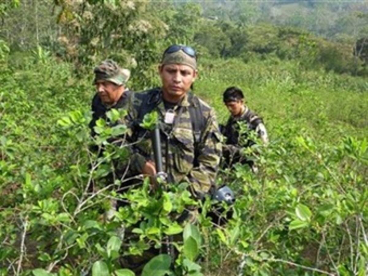 Gobierno reconoce aumento de concentración de tierra por parte de guerrilla, ‘paras’ y narcotráfico
