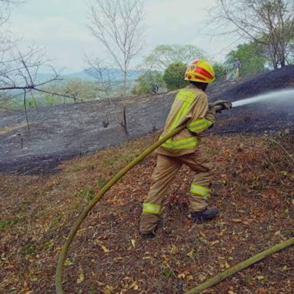 Bomberos de Neiva alertan por aumento de incendios debido al fenómeno de El Niño