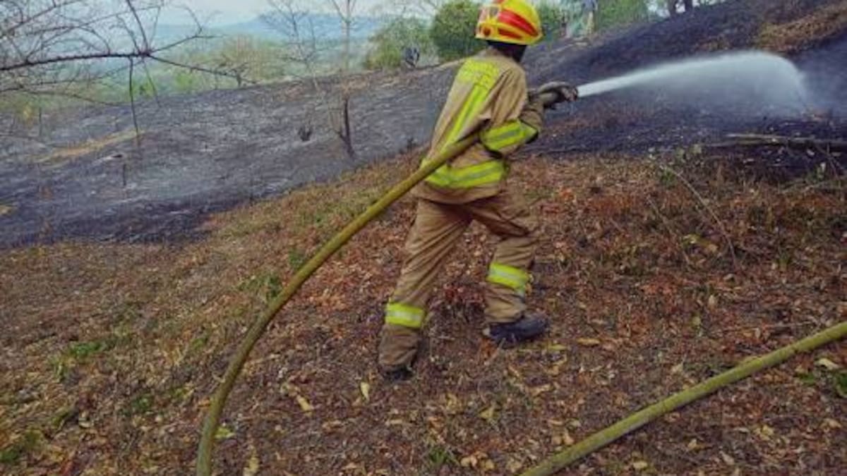 Bomberos de Neiva alertan por aumento de incendios debido al fenómeno de El Niño