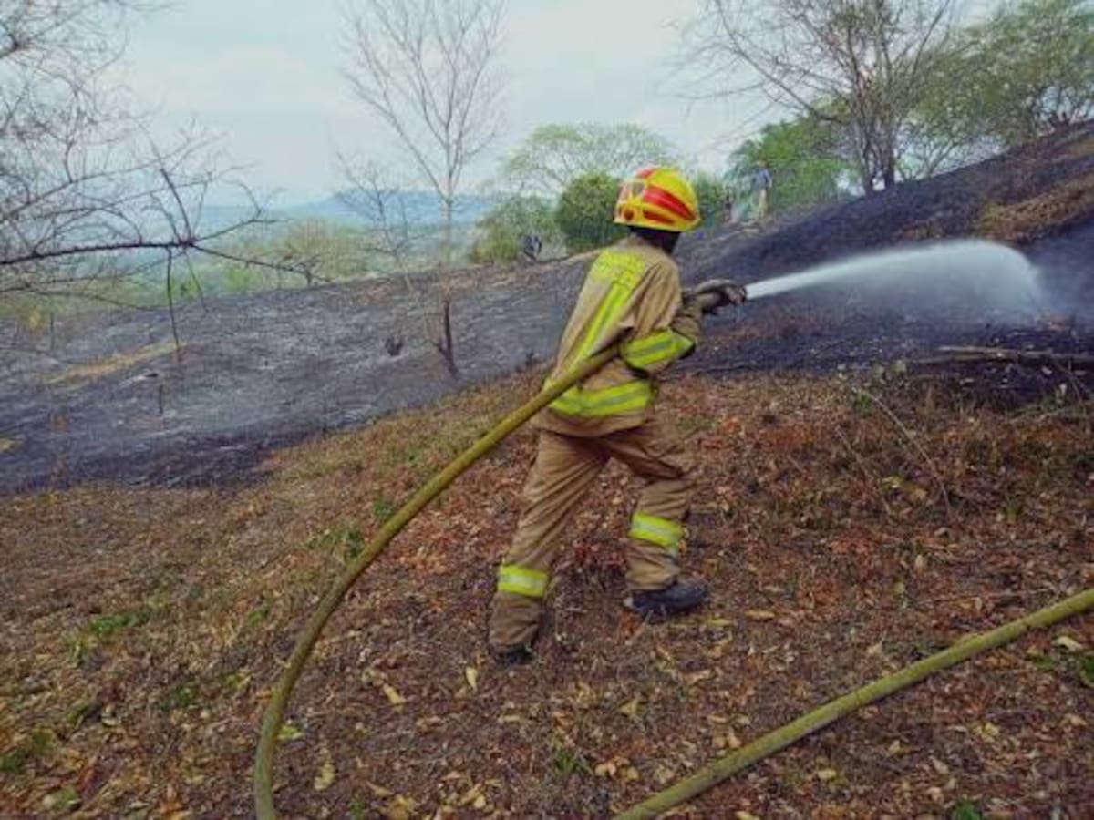 Bomberos de Neiva alertan por aumento de incendios debido al fenómeno de El Niño